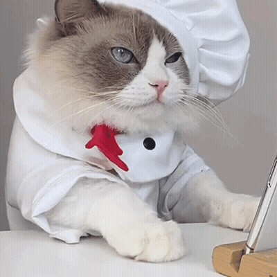 Cat In Chef Hat Sitting On Table GIF
