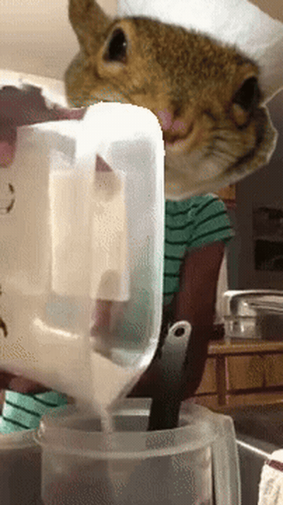 Cat In Chef's Hat Pouring Liquid Into Container GIF