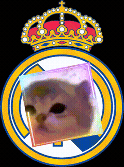 Cat In Circle With Crown Background GIF