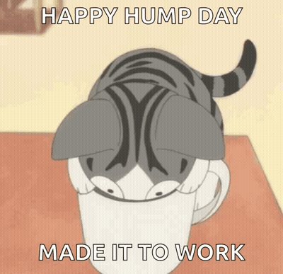 Cat In Coffee Cup Happy Hump Day Made It To Work GIF