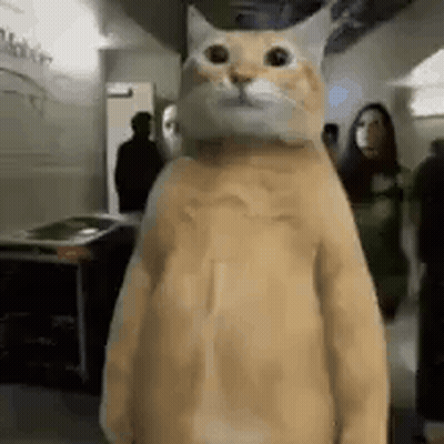 Cat In Costume Standing In Hallway Next To People GIF