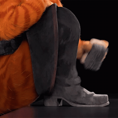 Cat In Cowboy Boots GIF