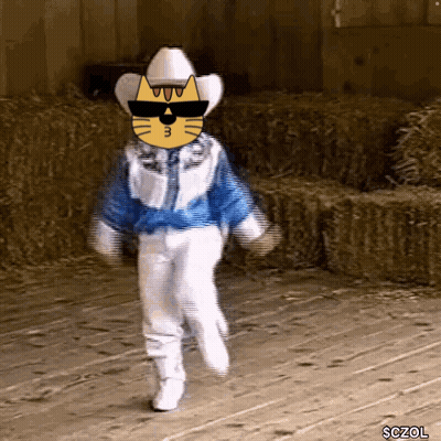 Cat In Cowboy Hat And Sunglasses Walking GIF