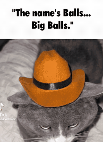 Cat In Cowboy Hat Saying The Name's Balls Big Balls GIF