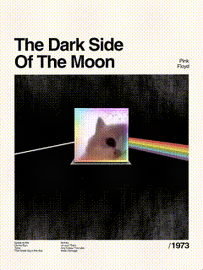 Cat In Cube Dark Side Of Moon GIF