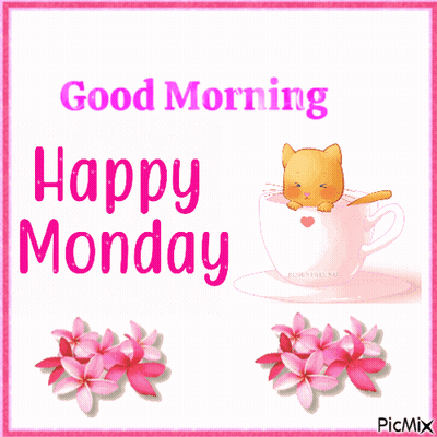 Cat In Cup Saying Happy Monday GIF