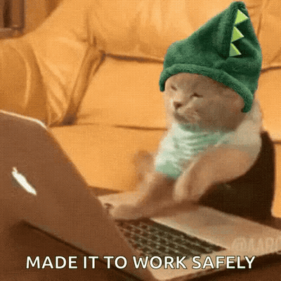 Cat In Dinosaur Hat Typing On Laptop GIF