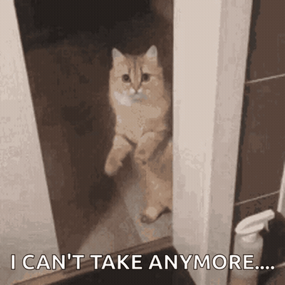 Cat In Doorway Saying I Can't Take Anymore GIF