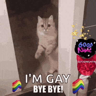 Cat In Doorway Saying I'm Gay Bye Bye GIF