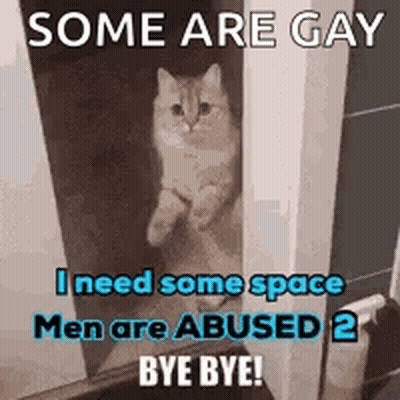 Cat In Doorway Some Are Gay I Need Some Space Men Are Abused GIF