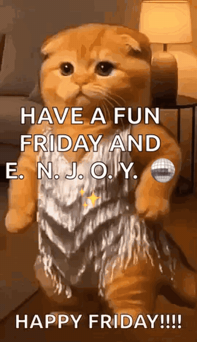 Cat In Dress Says Have A Fun Friday And Enjoy GIF