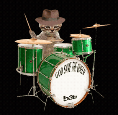 Cat In Fedora Playing Drums God Save The Queen GIF