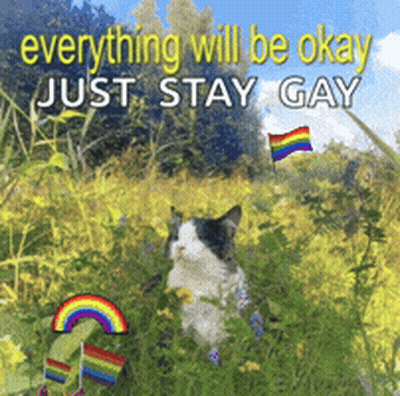 Cat In Flowers Saying Everything Will Be Okay Just Stay Gay GIF