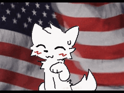 Cat In Front Of American Flag GIF