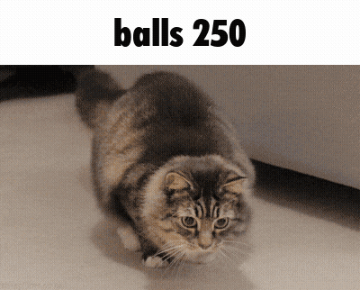 Cat In Front Of Balls 250 Sign GIF