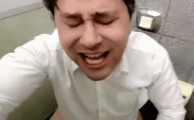 Cat In Front Of Cat Tree Saying Balls 575 GIF