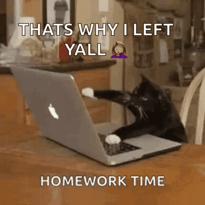 Cat In Front Of Laptop Saying That's Why I Left Yall Homework Time GIF