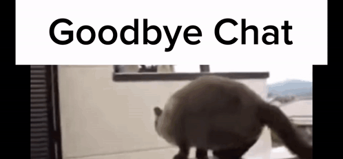 Cat In Front Of Window Goodbye Chat GIF