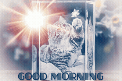 Cat In Glass Block Good Morning GIF