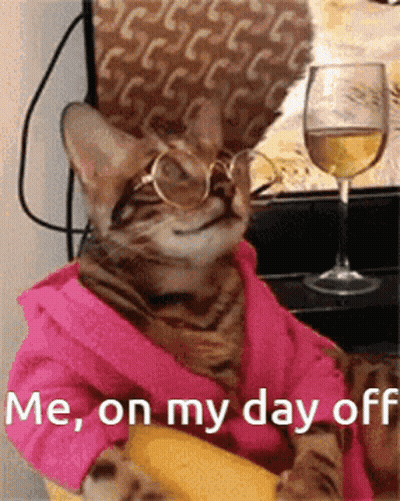 Cat In Glasses And Bathrobe With Wine GIF