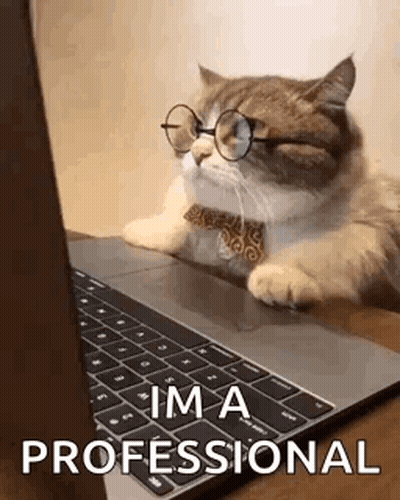 Cat In Glasses And Bow Tie Laying On Laptop GIF