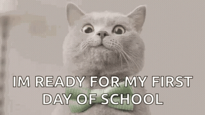Cat In Green Bow Tie Ready For School GIF