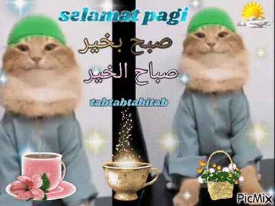 Cat In Green Hat Beside Coffee And Flowers GIF