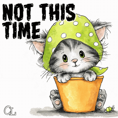 Cat In Green Polka Dot Hat Sitting In Pot Saying Not This Time GIF