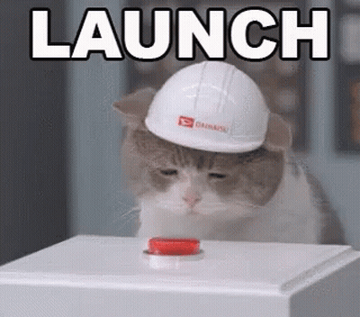 Cat In Hard Hat Pressing Launch Button GIF