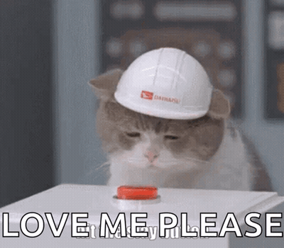 Cat In Hard Hat Pressing Love Me Please Button GIF