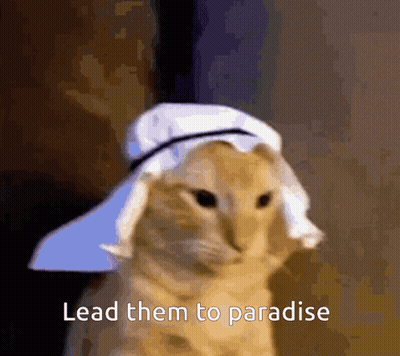 Cat In Hat And Scarf Saying Lead Them To Paradise GIF