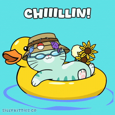 Cat In Hat And Sunglasses Floating On Yellow Rubber Duck Chillin GIF