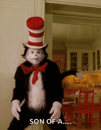Cat In Hat Saying Son Of A GIF
