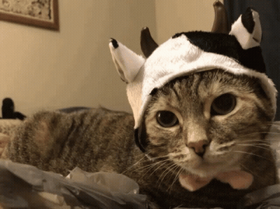 Cat In Hat With Horns And Bow Tie GIF