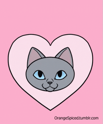 Cat In Heart Saying Kitty Kiss GIF
