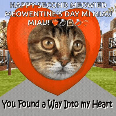 Cat In Heart You Found Way Into Heart GIF