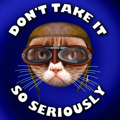 Cat In Helmet And Goggles Don't Take It So Seriously GIF