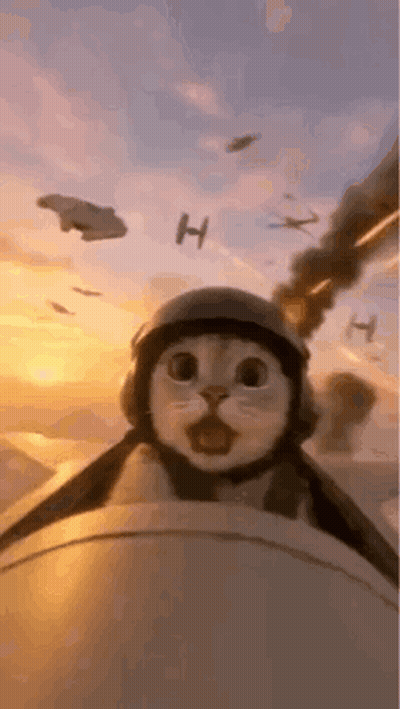 Cat In Helmet And Goggles Flying Plane GIF