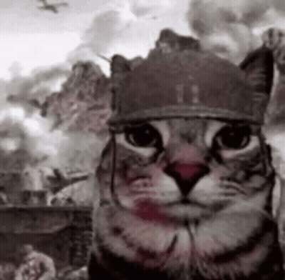 Cat in Helmet in Front of Battle Painting