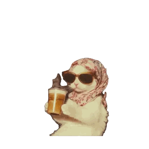 Cat In Hijab And Sunglasses Holding Cup Sticker