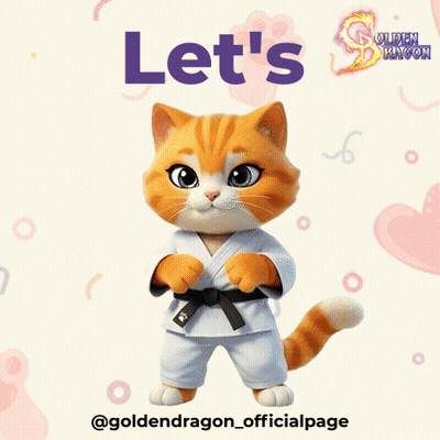 Cat In Karate Uniform Saying Let's GIF