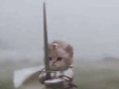 Cat In Knight Armor Holding Sword GIF