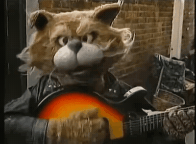 Cat In Leather Jacket Playing Guitar GIF