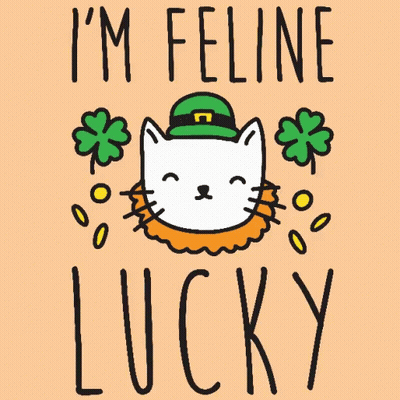 Cat In Leprechaun Hat Saying I'm Feline Lucky GIF