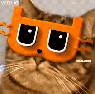 Cat In Mask Saying Veed.io GIF