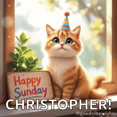 Cat In Mask Saying Veed.io GIF