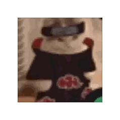 Cat In Naruto Costume Sitting Sticker