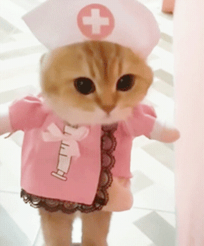 Cat In Nurse Costume With Syringe GIF