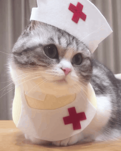 Nurse GIFs