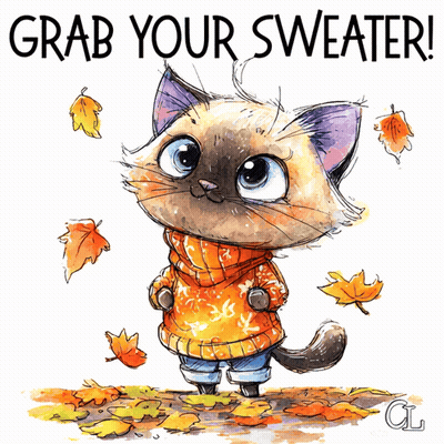 Cat In Orange Sweater Saying Grab Your Sweater GIF